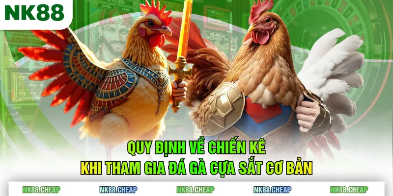 Quy định về chiến kê khi tham gia đá gà cựa sắt cơ bản